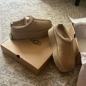 NWT UGG tazz mustard seed